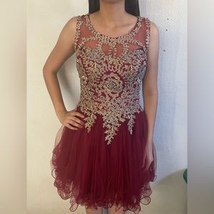 Burgundy xv surprise dance dress
